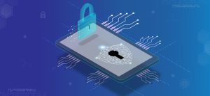 Tips of Data Privacy from the Digital Security Experts Appikr Labs